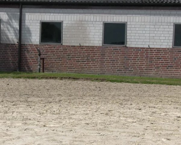Stutenschau Herbern 2013
Mittwoch, den 05.06.2013
Warmblutfohlen
