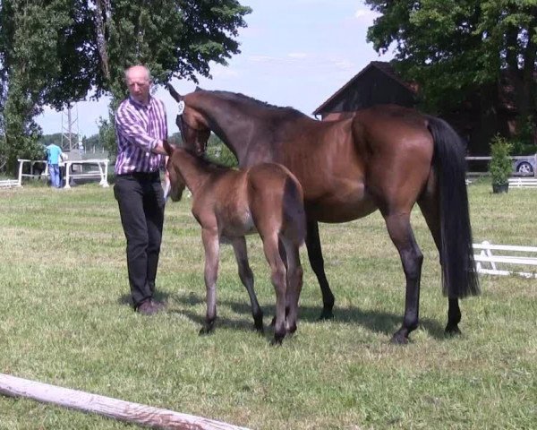 Video von Belle Toni