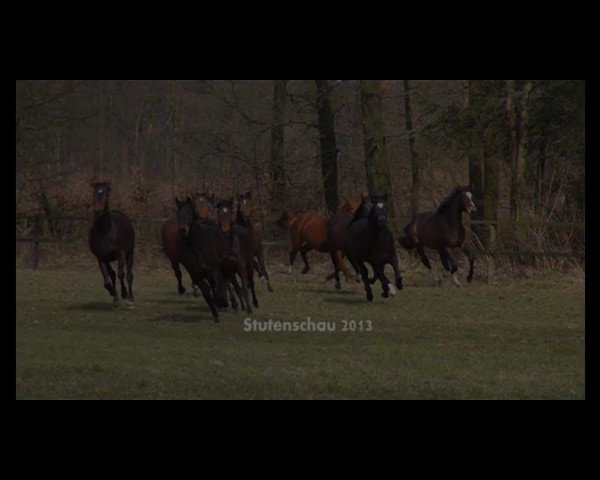 Video of Captain Grey 4