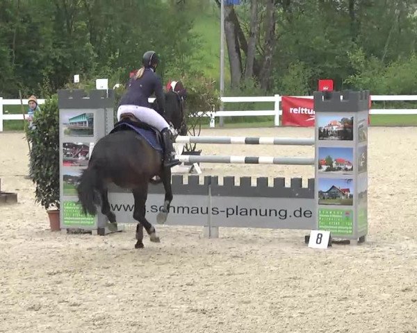 Isny-Rohrdorf 2013
Freitag, den 24.05.2013
03. Springprüfung Kl.M**
