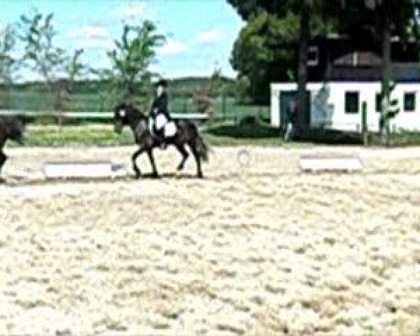 Video von Violette
