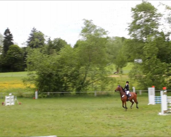 Video von Calimero 557