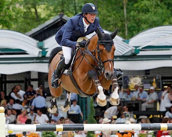 Springpferd Caballero 84 (Holsteiner, 2002, von Chambertin)