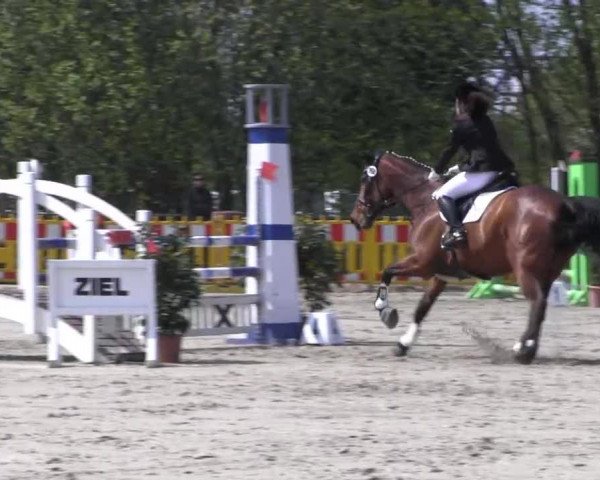 Reit- und Springturnier des ZRuF Kamen 2013,
Samstag 04.05.2013, 3 KM-Spring-LP Kl.A**

