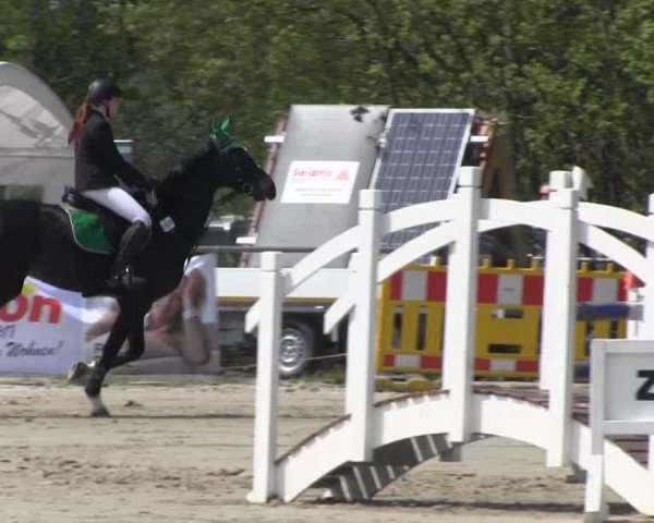 Reit- und Springturnier des ZRuF Kamen 2013,
Samstag 04.05.2013, 3 KM-Spring-LP Kl.A**