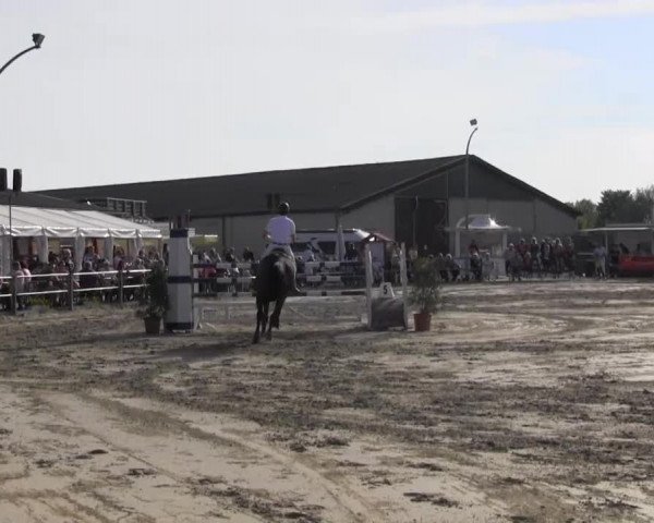 Reit- und Springturnier des ZRuF Kamen 2013,
Sonntag 05.05.2013, 33 REI-Spring-LP Kl. S* m. Siegerrunde
