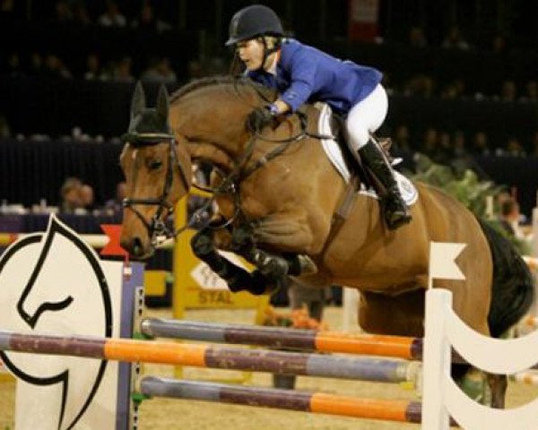 jumper Capetown (KWPN (Royal Dutch Sporthorse), 2003, from Oklund)