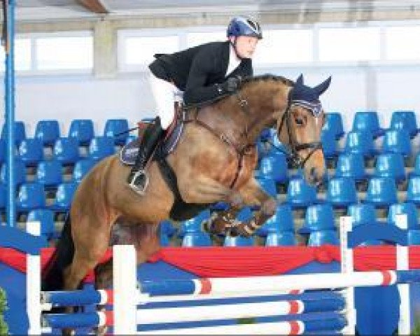 jumper Corisanto (Oldenburg, 2009, from Cornet's Prinz)