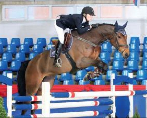Zuchtstute Bamboucha (Oldenburger Springpferd, 2006, von Balou du Rouet)