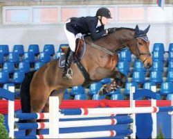 broodmare Bamboucha (Oldenburg show jumper, 2006, from Balou du Rouet)
