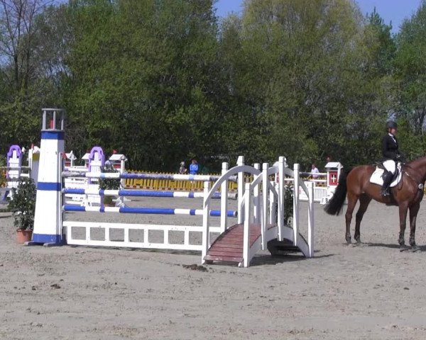 Reit- und Springturnier des ZRuF Kamen 2013,
Sonntag 05.05.2013, 31/1 REI-Spring-LP Kl. M** (LK 3 + 4)
