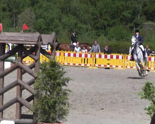 Reit- und Springturnier des ZRuF Kamen 2013,
Sonntag 05.05.2013, 31/1 REI-Spring-LP Kl. M** (LK 3 + 4)
