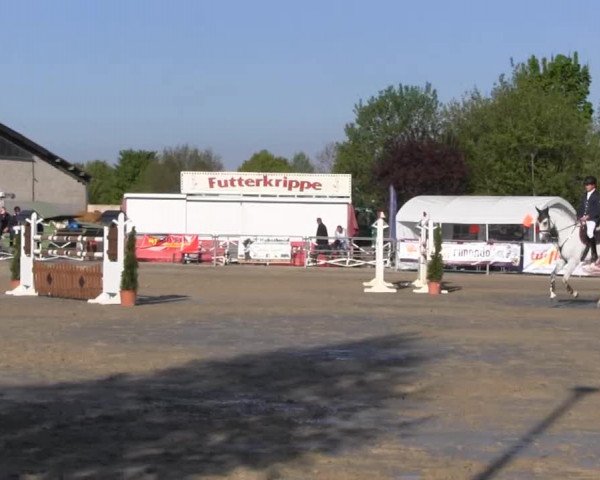 Reit- und Springturnier des ZRuF Kamen 2013,
Sonntag 05.05.2013, 29/2 REI-Spring-LP Kl. M* (Reitername J bis Z)
