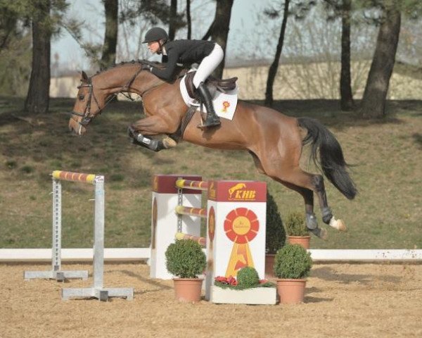 Springpferd FBW Claydon (Württemberger, 2006, von Candillo Z)