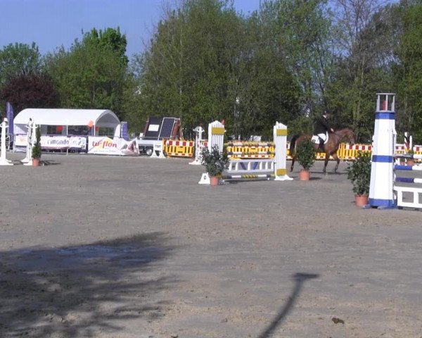 Reit- und Springturnier des ZRuF Kamen 2013,
Sonntag 05.05.2013, 29/2 REI-Spring-LP Kl. M* (Reitername J bis Z)
