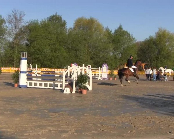 Reit- und Springturnier des ZRuF Kamen 2013,
Sonntag 05.05.2013, 29/2 REI-Spring-LP Kl. M* (Reitername J bis Z)
