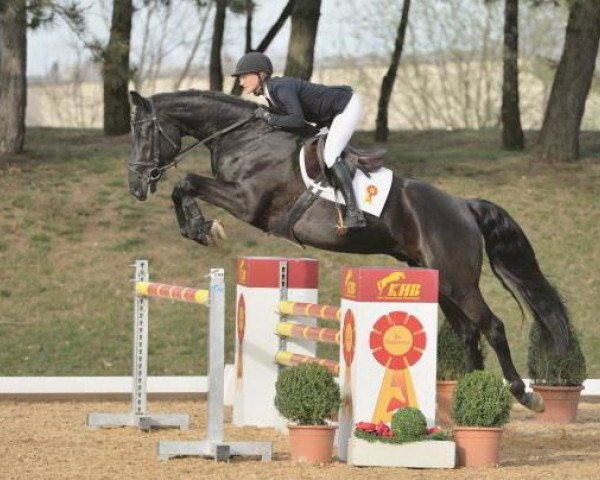 horse Ballas (Bavarian, 2010, from Blue Hors Bentley)