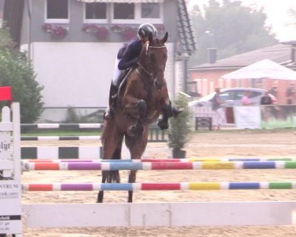 broodmare Jadore Moi (Bavarian, 2010, from Conthargos)