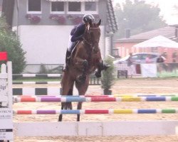 broodmare Jadore Moi (Bavarian, 2010, from Conthargos)