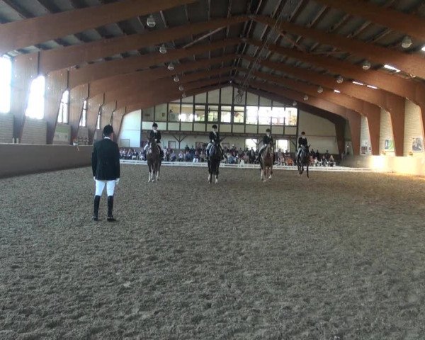 Reit- und Springturnier des ZRuF Kamen 2013, Samstag 04.05.2013, 2 KSM-Mannschafts-Drs.-LP Kl.A*