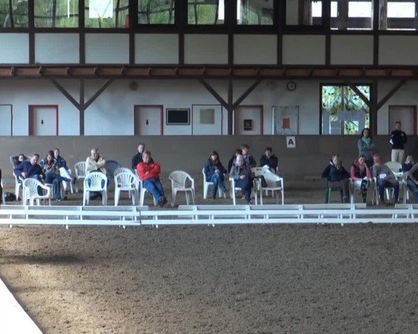 Reit- und Springturnier des ZRuF Kamen 2013,
Mittwoch 01.05.2013, 17/1 geschl. Dressur-LP Kl. L*-Tr./L3 (Reiter)
