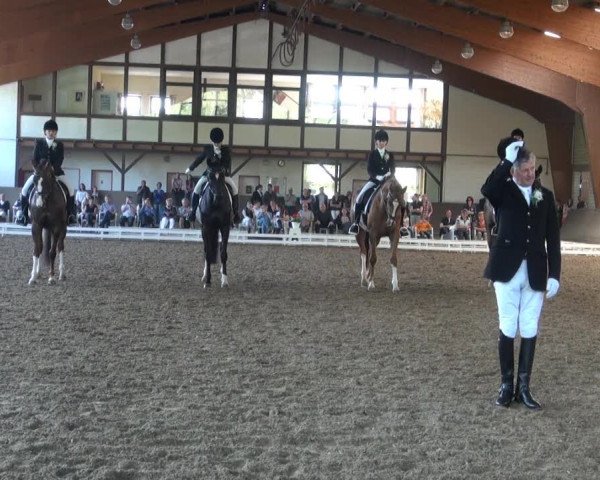 Reit- und Springturnier des ZRuF Kamen 2013, Samstag 04.05.2013, 2 KSM-Mannschafts-Drs.-LP Kl.A*