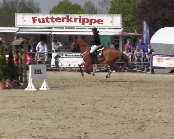 Reit- und Springturnier des ZRuF Kamen 2013, Samstag 04.05.2013, 28/1  Spring-LP Kl. M*