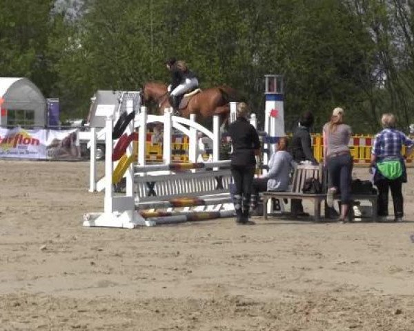 Reit- und Springturnier des ZRuF Kamen 2013, Samstag 04.05.2013, 28/2 Spring-LP Kl. M*