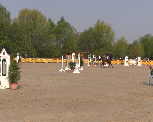 Reit- und Springturnier des ZRuF Kamen 2013, Samstag 04.05.2013, 28/1 Spring-LP Kl. M*
