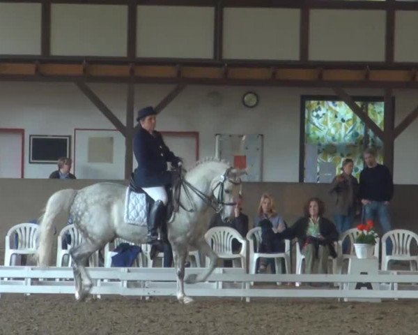 Reit- und Springturnier des ZRuF Kamen 2013, Samstag 04.05.2013, 19/1  Dressur-LP Kl. M*