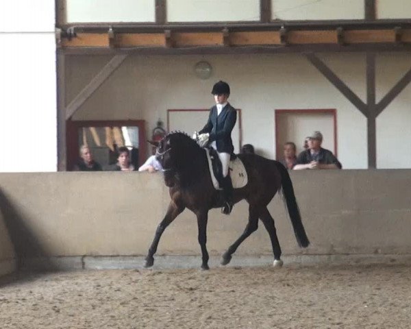 Reit- und Springturnier des ZRuF Kamen 2013, Freitag 03.05.2013, 18 Dressur-LP Kl. L** Kandarre