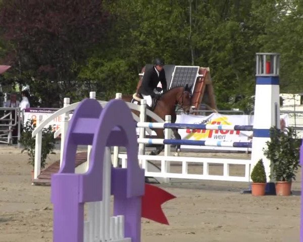 Reit- und Springturnier des ZRuF Kamen 2013, Freitag 03.05.2013, 35/2 Springpferde-LP Kl. A** - 5-6 Jährige, LK 3-6