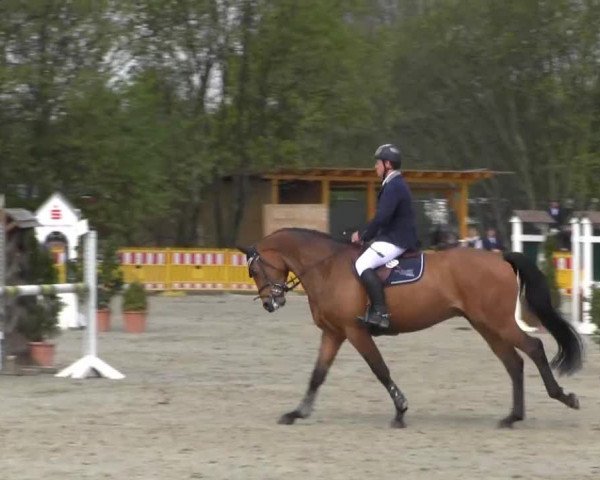Reit- und Springturnier des ZRuF Kamen 2013, Freitag 03.05.2013, 35/2 Springpferde-LP Kl. A** - 5-6 Jährige, LK 3-6