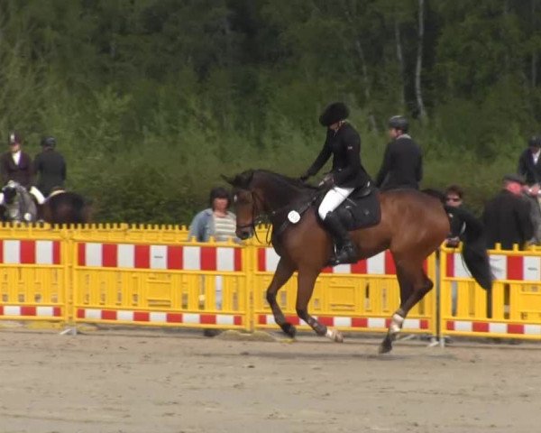Reit- und Springturnier des ZRuF Kamen 2013, Freitag 03.05.2013, 35/2 Springpferde-LP Kl. A** - 5-6 Jährige, LK 3-6