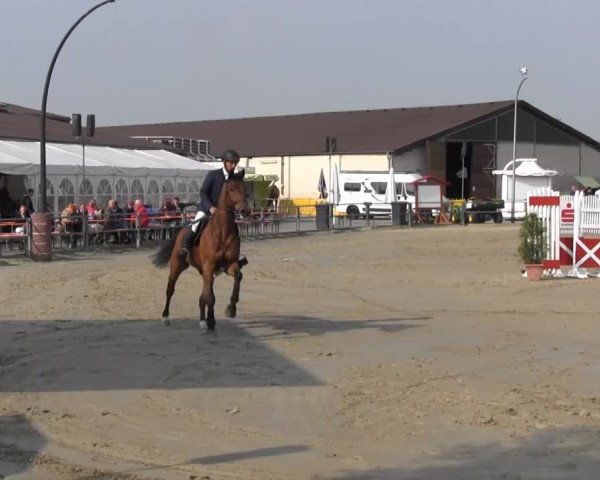 Reit- und Springturnier des ZRuF Kamen 2013, Freitag 03.05.2013, 35/1 Springpferde-LP Kl. A** - 5-6 Jährige, LK 1+2