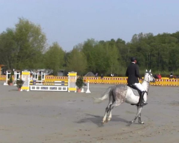 Reit- und Springturnier des ZRuF Kamen 2013, Freitag 03.05.2013, 35/1 Springpferde-LP Kl. A** - 5-6 Jährige, LK 1+2