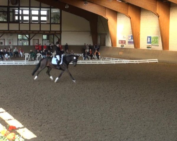 Reit- und Springturnier des ZRuF Kamen 2013,
Mittwoch 01.05.2013, 14 JUN-JR-Dressur-LP Kl. A*/A2
