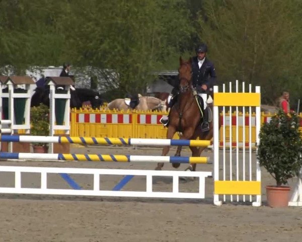 Reit- und Springturnier des ZRuF Kamen 2013, Freitag 03.05.2013, 35/1 Springpferde-LP Kl. A** - 5-6 Jährige, LK 1+2