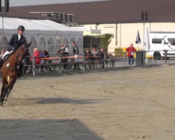 Reit- und Springturnier des ZRuF Kamen 2013, Freitag 03.05.2013, 35/1 Springpferde-LP Kl. A** - 5-6 Jährige, LK 1+2
