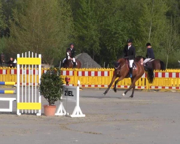 Reit- und Springturnier des ZRuF Kamen 2013, Freitag 03.05.2013, 35/1 Springpferde-LP Kl. A** - 5-6 Jährige, LK 1+2