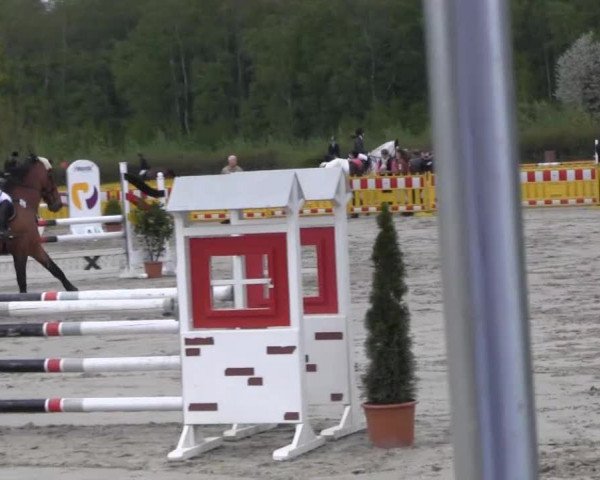 Reit- und Springturnier des ZRuF Kamen 2013,
Mittwoch 01.05.2013, 25/1 geschl.Stilspring-LP Kl. L (JUN+JR)
