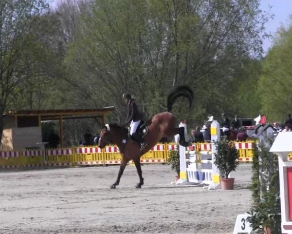 Reit- und Springturnier des ZRuF Kamen 2013,
Mittwoch 01.05.2013, 24 JUN-JR-Spring-LP Kl. A**
