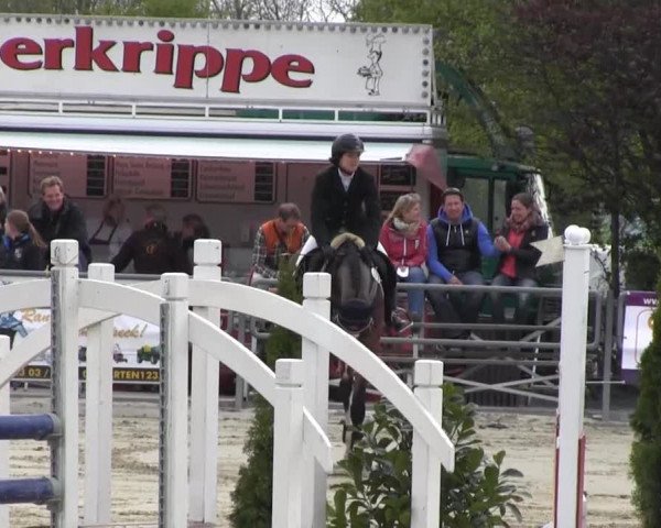 Reit- und Springturnier des ZRuF Kamen 2013,
Mittwoch 01.05.2013, 25/2 geschl.Stilspring-LP Kl. L (Reiter)
