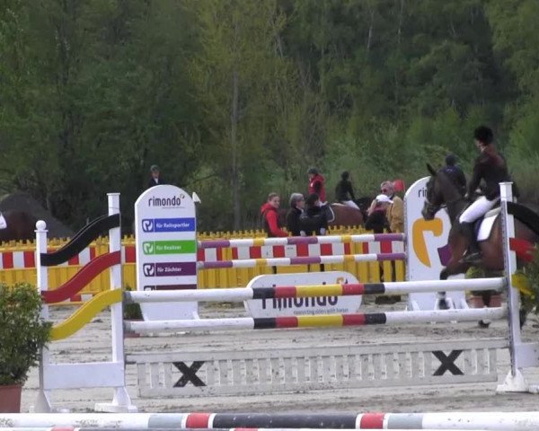 Reit- und Springturnier des ZRuF Kamen 2013,
Mittwoch 01.05.2013, 25/2 geschl.Stilspring-LP Kl. L (Reiter)
