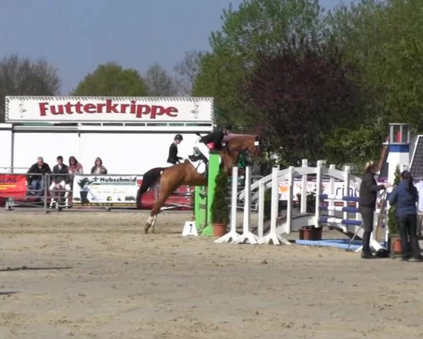 Reit- und Springturnier des ZRuF Kamen 2013, Mittwoch 01.05.2013, 22/2 Geschl. Stilspring-LP Kl. A*/J.R. + REI