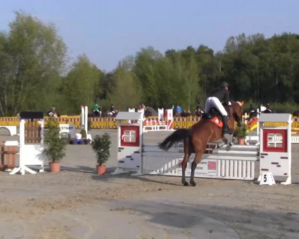 Reit- und Springturnier des ZRuF Kamen 2013,
Mittwoch 01.05.2013, 22/1 Geschl. Stilspring-LP Kl. A*/J.R. + REI
