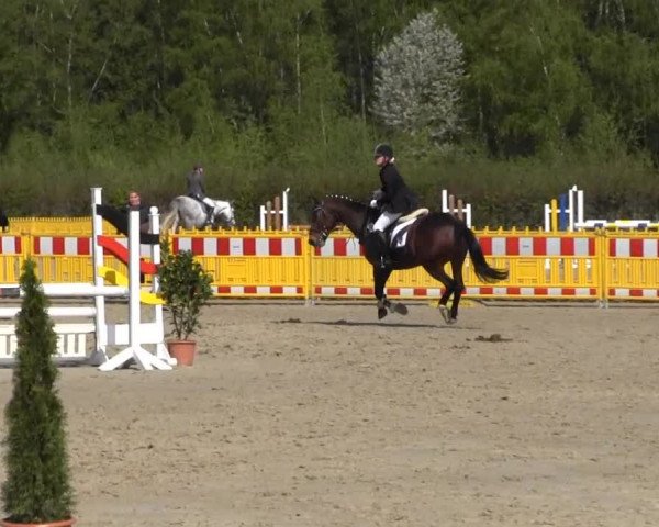 Reit- und Springturnier des ZRuF Kamen 2013, Mittwoch 01.05.2013, 22/2 Geschl. Stilspring-LP Kl. A*/J.R. + REI