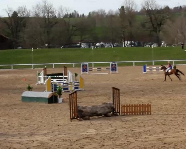 Video von Calimero 557