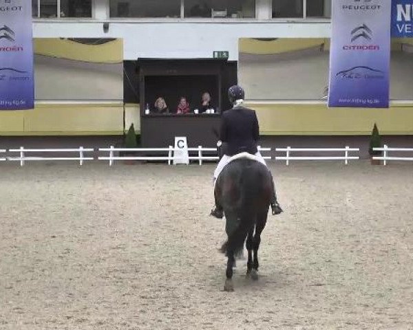 4. Pforzheimer Dressurtage 19.04.2013
09 Dressurpferdeprüfung Kl. L
Preis gegeben von Helga und Heinz Kornmayer, Überlingen
