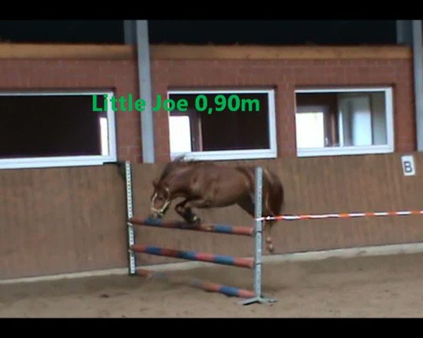 Video von Little Joe